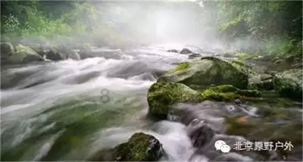 逃离密苏里州花园
