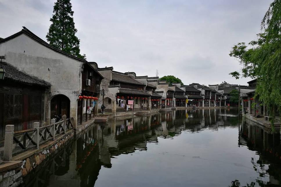 救援淘气的小狗